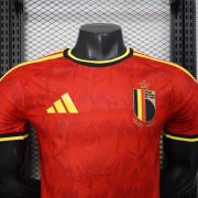 Belgium home - Image 5