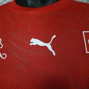 Switzerland away - Image 6