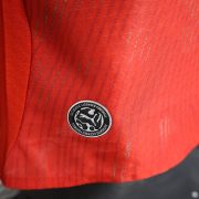 Switzerland away - Image 4