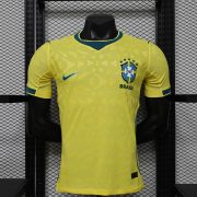 Brazil home
